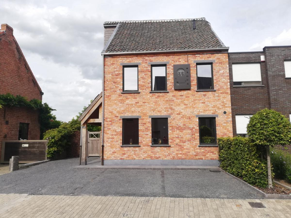 B&B Fagus Buggenhout Exterior foto